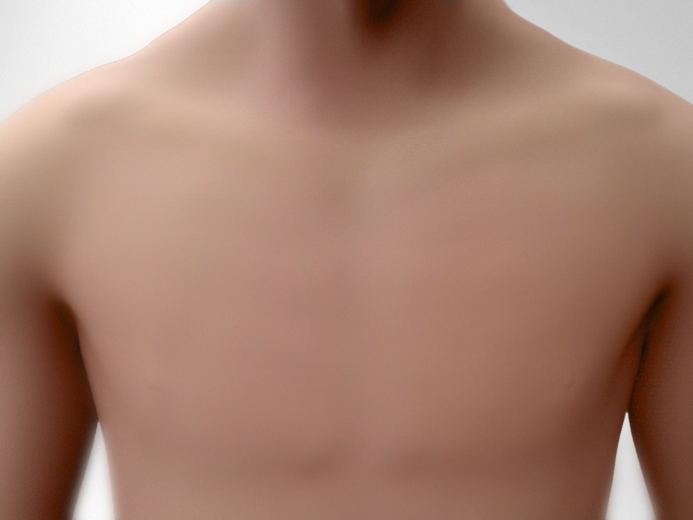 chest_c.jpg